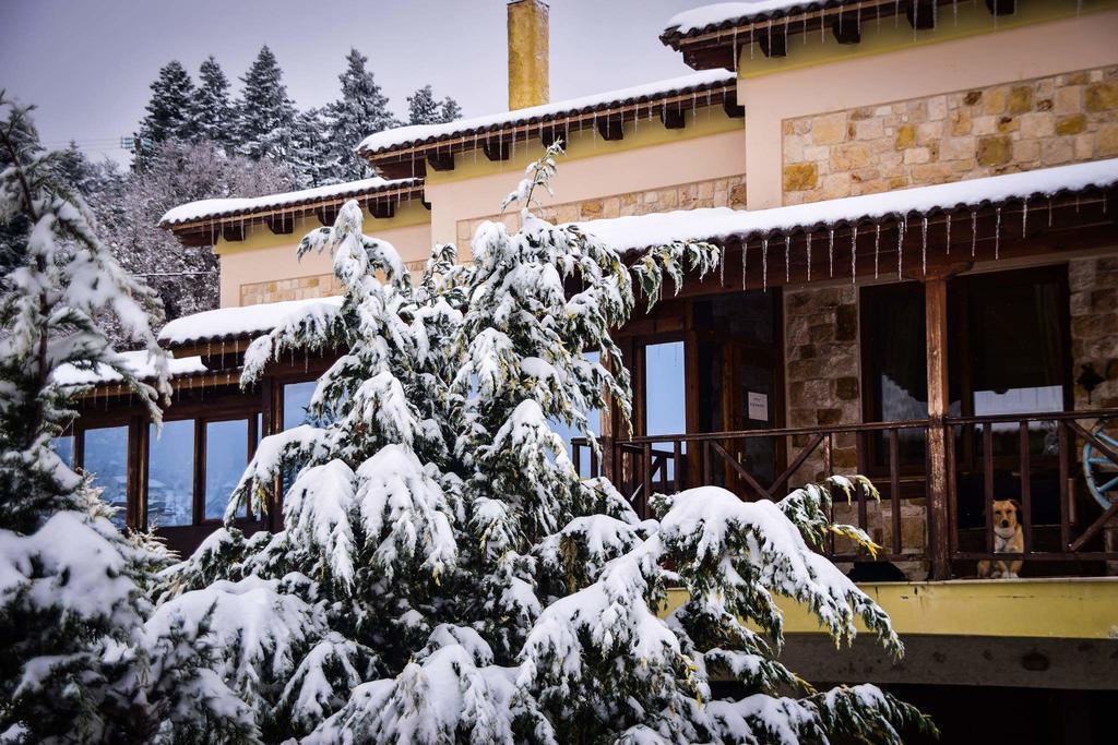 Aetoma Suites Synikia Mesi Trikalon Exterior photo